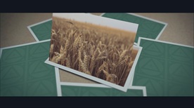 假3d照片演绎特效