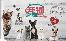宠物之家背景墙装饰画