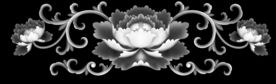牡丹洋花精雕浮雕灰度