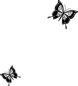 飞舞的蝴蝶印花 涂料丝网印花模