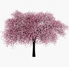 樱花树模型