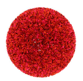 红花继木球模型