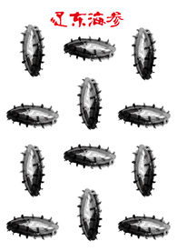 辽东海参水墨画