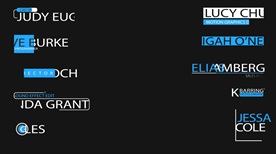 多种字幕导条合集