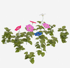 多色花植物模型