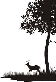 森林麋鹿草地图片素材