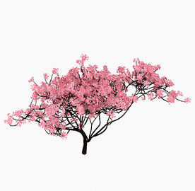 樱花树模型