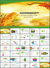 农业生产农业商务招商PPT模板