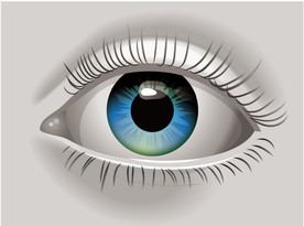 眼睛矢量素材图片