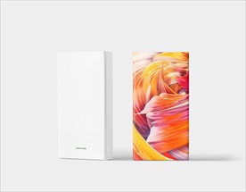 特种纸包装盒键智能贴图效果图