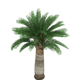 棕榈树植物模型