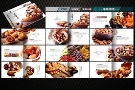 干果画册