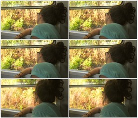 在斯里兰卡观光的游客