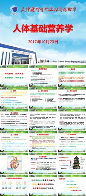 6人体基础营养学（研讨会）