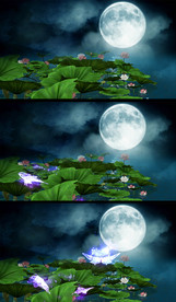 荷塘月色荧光蝴蝶高清LED视频