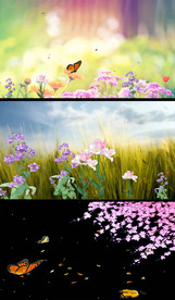 唯美蝴蝶花丛高清LED舞台背景