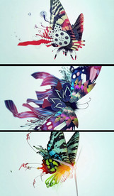 元素拼接蝴蝶创意视频素材