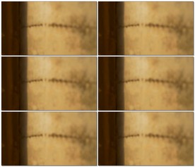 印度恒河岸边墙上的猴子