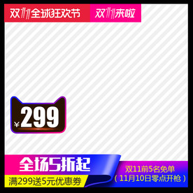 双11直通车主图