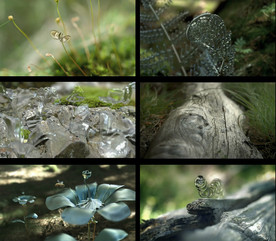 机械的自然界合成特效视频素材