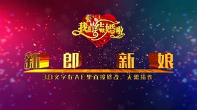 超大气温馨浪漫婚庆婚礼结婚庆典