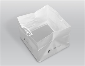 手提袋样机展示模板