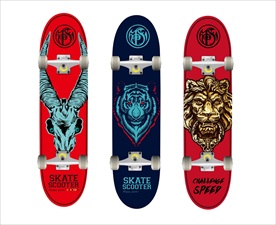 滑板 双翘板 大鱼板 小鱼板