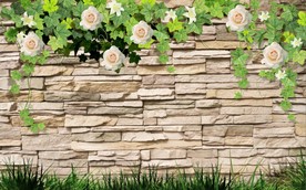 砖墙花朵电视背景墙