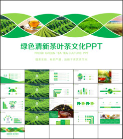 绿色清新茶叶茶文化 工作总结