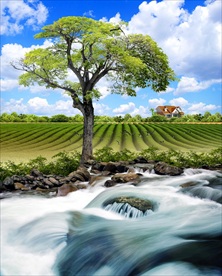 园林景观 住宅景观 园林效果图