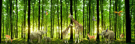 巨幅森林动物世界