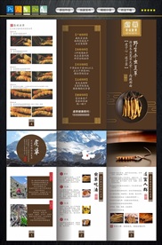 冬虫夏草折页