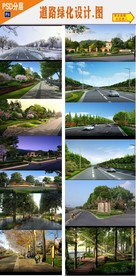 道路规划绿化
