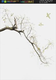 高清枯树飞鸟装饰画壁画