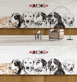 宠物领养背景墙