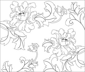 尚品牡丹 牡丹花