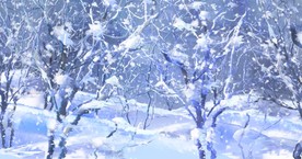 雪花漫天的树林