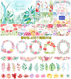 国外手绘花卉植物PNG素材合集