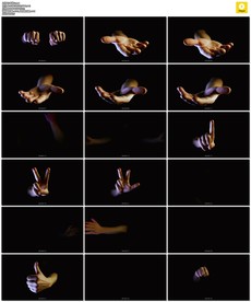 4K十九款手势素材包