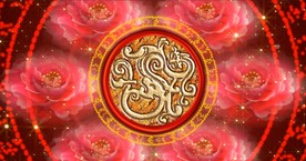 新年喜庆花纹循环播放