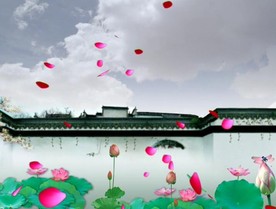 荷塘荷花花瓣飘飞牡丹亭