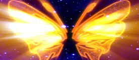 金色蝴蝶大翅膀