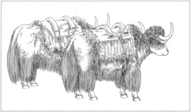 耗牛白描素描线描国画