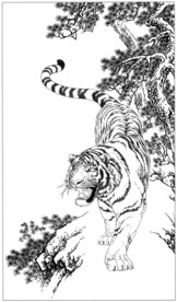 老虎 白描 素描 线描 国画