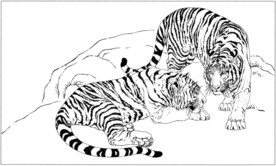 老虎 白描 素描 线描 国画