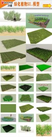 草坪植物SU模型
