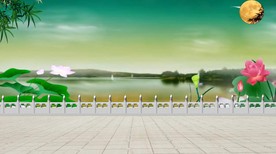 古典舞背景 月下莲花