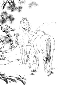 骏马 素描 白描 线描 国画稿