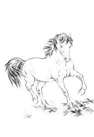 骏马 素描 白描 线描 国画稿