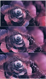 唯美浪漫迷幻欧式紫色花朵背景